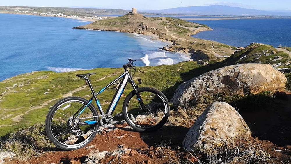 Fafrees Electric Bikes Line Up: Which One is the Best for You? - Buybestgear