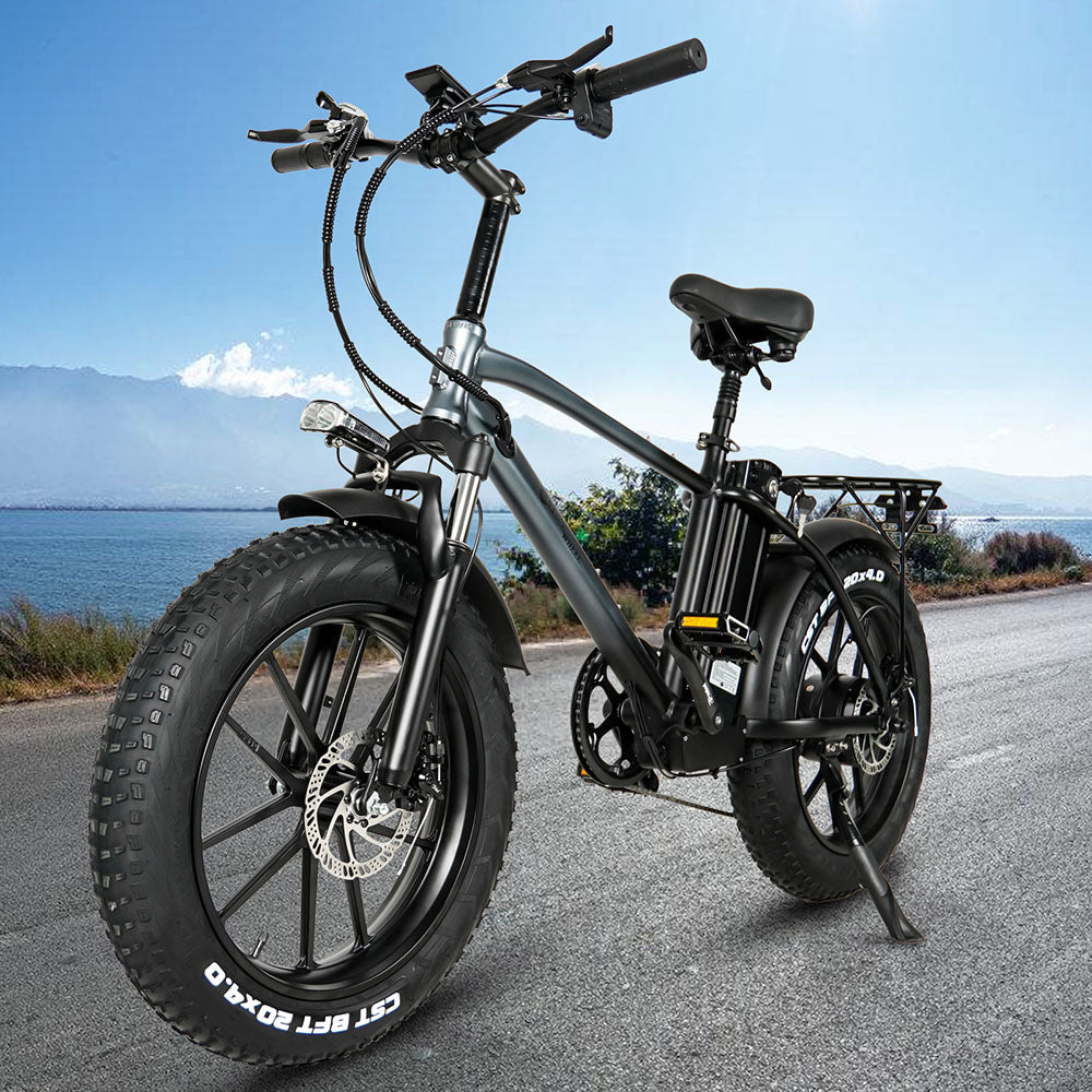 CMACEWHEEL T20 750W 20" Fat Bike Electric Mountain Bike Cargo E-bike 17Ah Battery