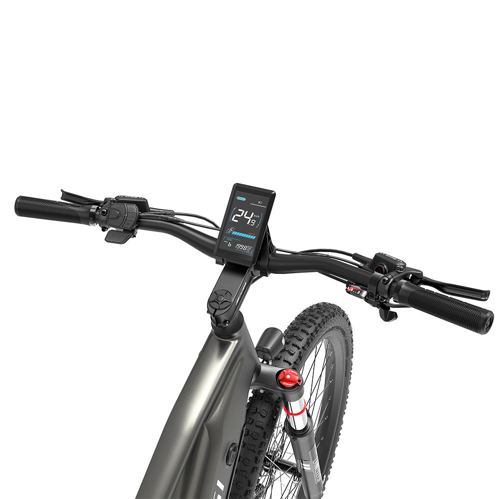 Lankeleisi RX600 Pro 250W 29" Trail E-Mountain-Bike 960Wh EMTB mit Drehmomentsensor 48V 20Ah Akku