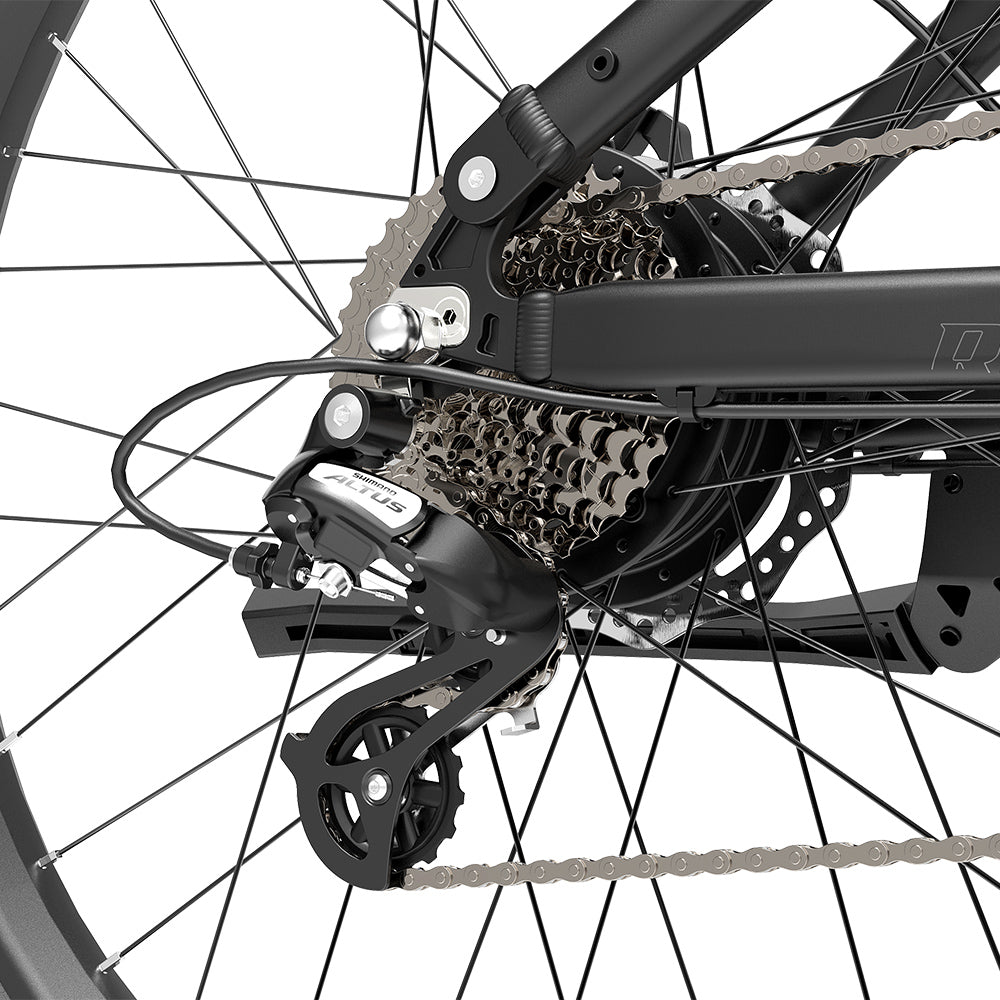 Lankeleisi RX600 Pro 250W 29" Trail E-Mountain-Bike 960Wh EMTB mit Drehmomentsensor 48V 20Ah Akku