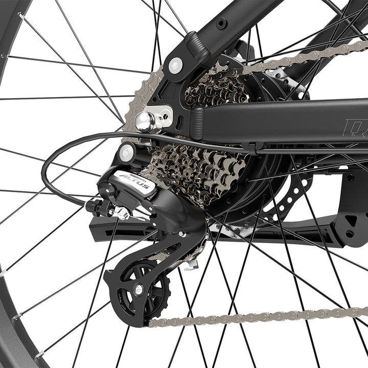 Lankeleisi RX600 Pro 250W 29" Trail E-Mountain-Bike 960Wh EMTB mit Drehmomentsensor 48V 20Ah Akku