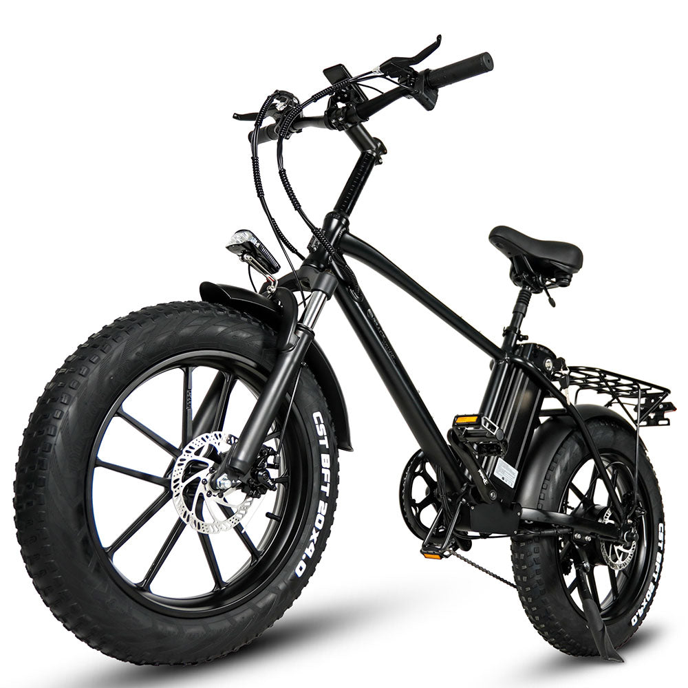 CMACEWHEEL T20 750W 20" Fat Bike Electric Mountain Bike Cargo E-bike 17Ah Battery