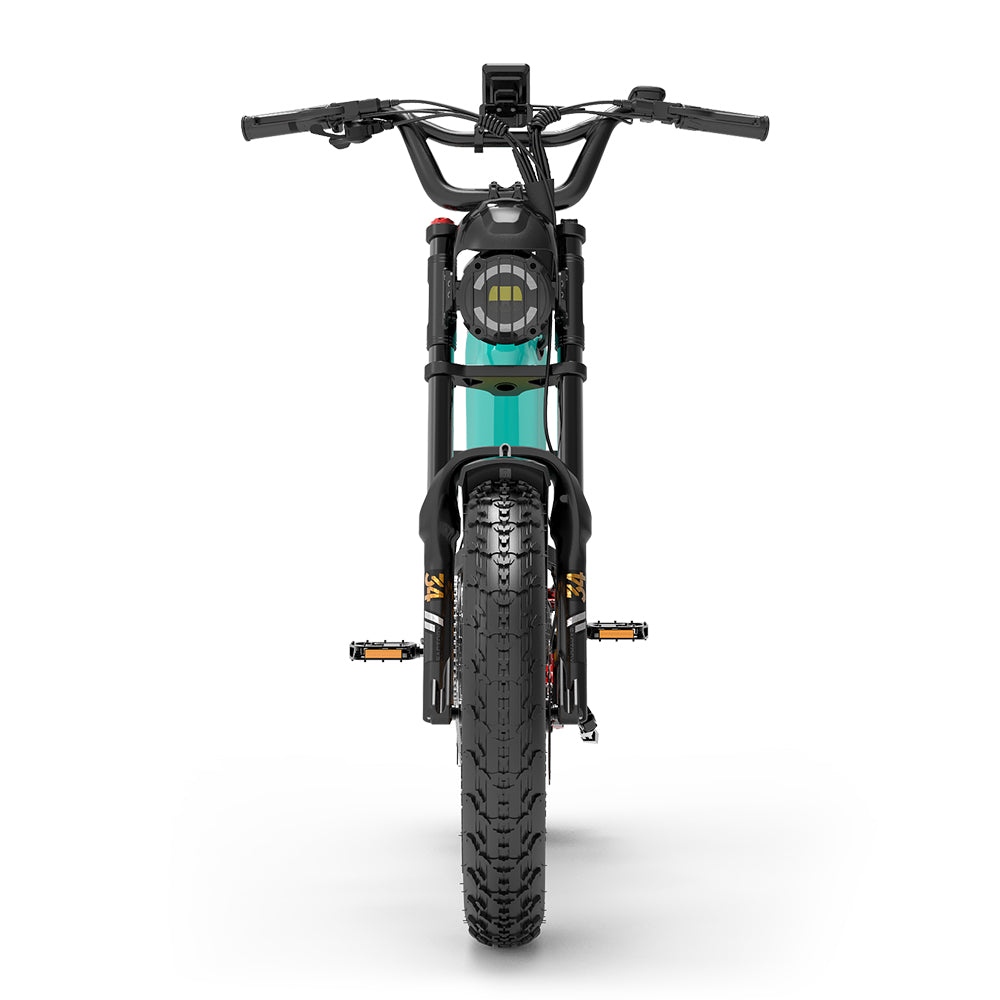 Lankeleisi RX800 Plus 1000W 20" Fat Bike Full Suspension Electric Bike 48V 20Ah Samsung Battery SUV E-Bike