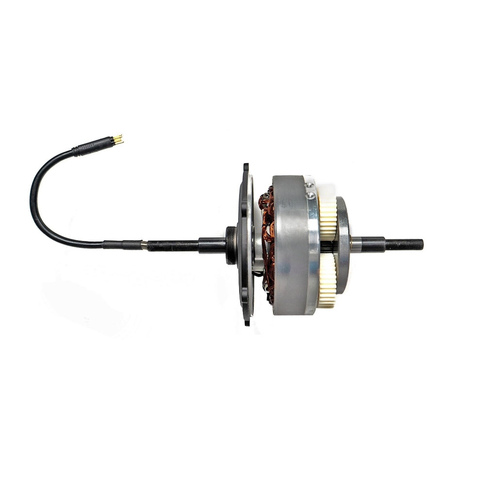 Engwe L20 SE Electric Bike Motor