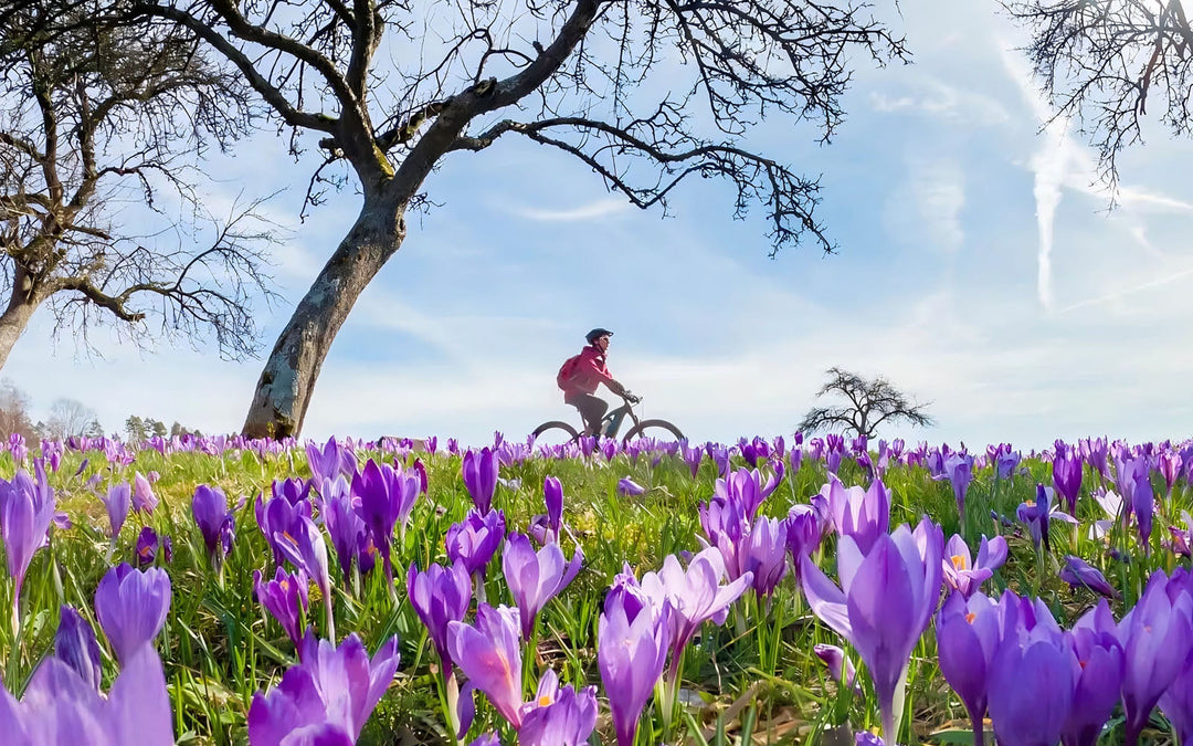 Spring into Action: Preparing Your E-Bike for the New Year's Rides - Buybestgear