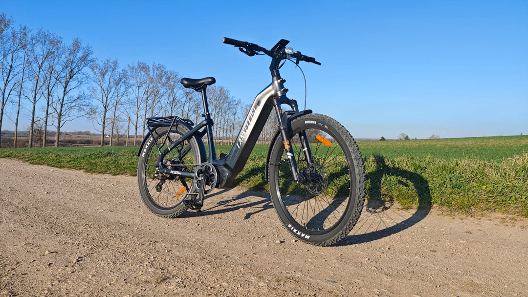Trekking E-bike
