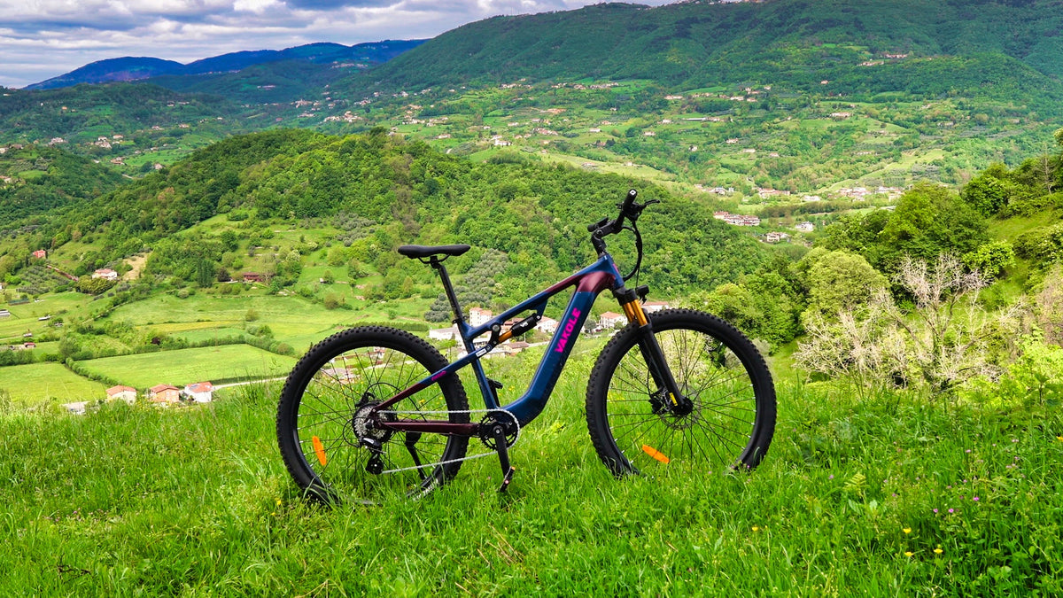 CMACEWHEEL V20 750W 20 Fat Bike lectrique Avec Capteur De Couple 960 cmacewheel-v20-750w-20-fat-bike-lectrique-avec-capteur-de-couple-960