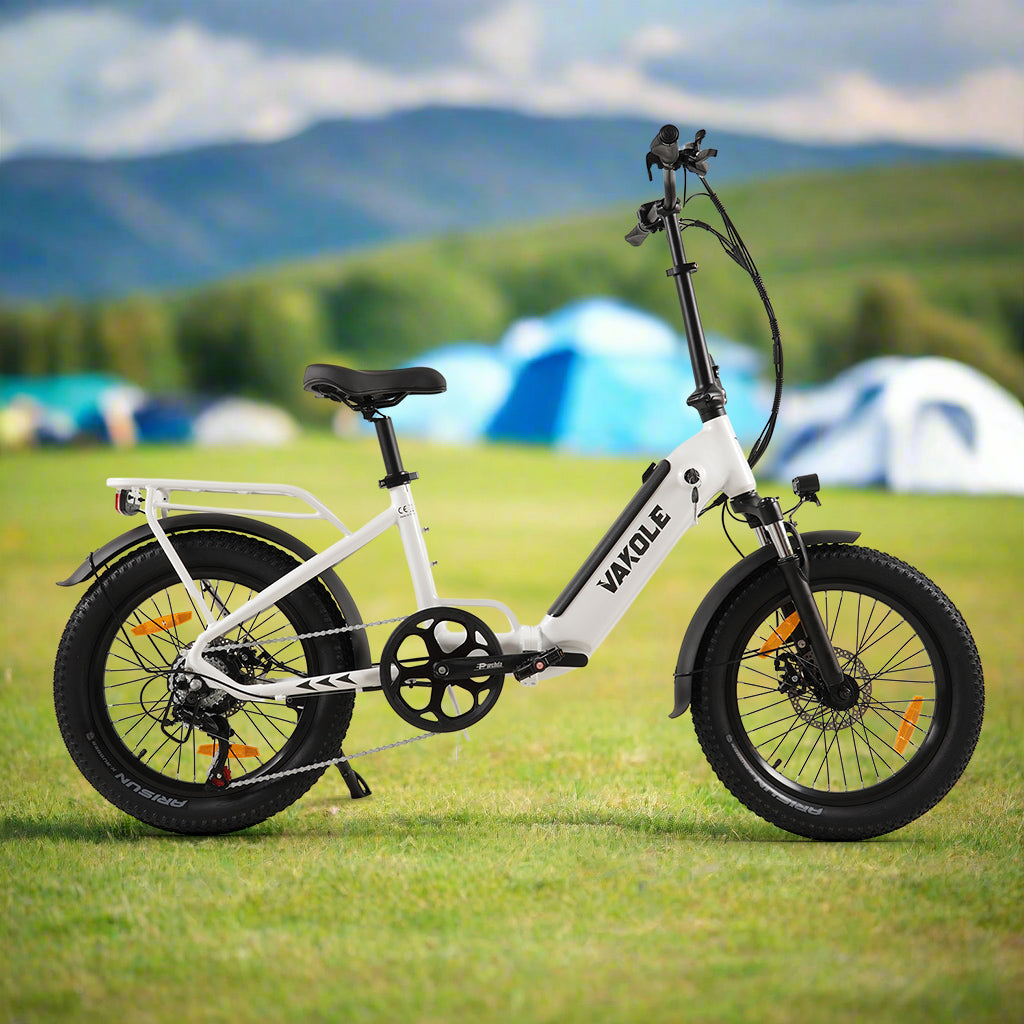 Vakole VT4 2025 Version 250W 20