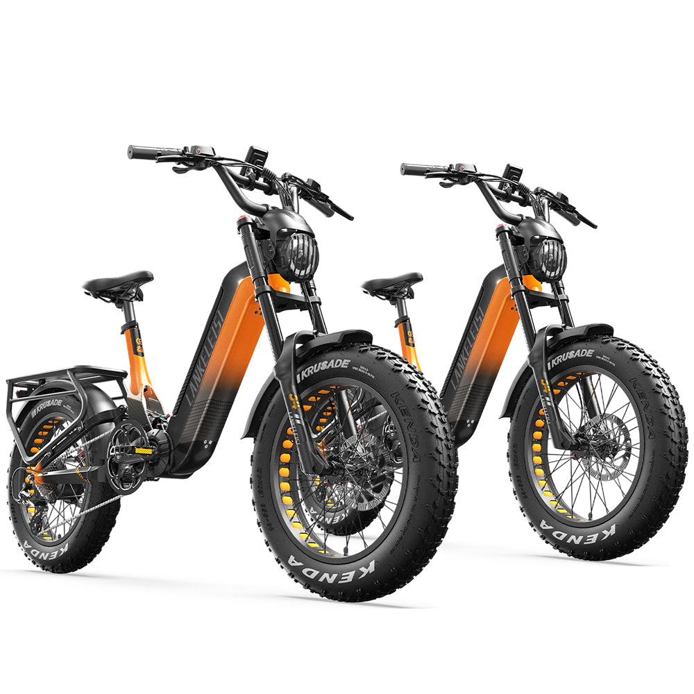 Lankeleisi RX800 Plus 2025 Version * 2 E-Bikes Bundle