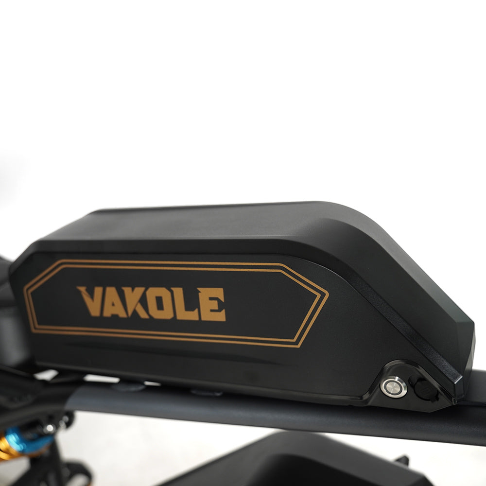Vakole Q20 750W 20" Fat Bike MTB Elettrica con 20Ah*2 Doppie Batterie Samsung