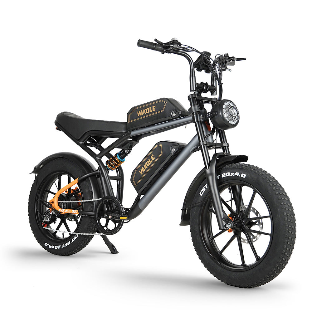 Vakole Q20 750W 20" Fat Bike E-Mountainbike Fully mit 20Ah*2 Dual Samsung Akkus E-MTB