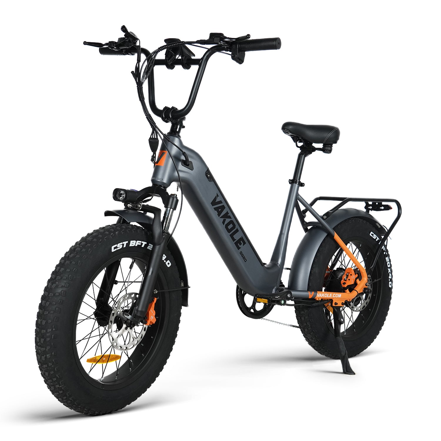 Vakole SG20 250W 20" Fat Bike Bici Elettrica Cargo E-bike 48V 15.6Ah Batteria Samsung