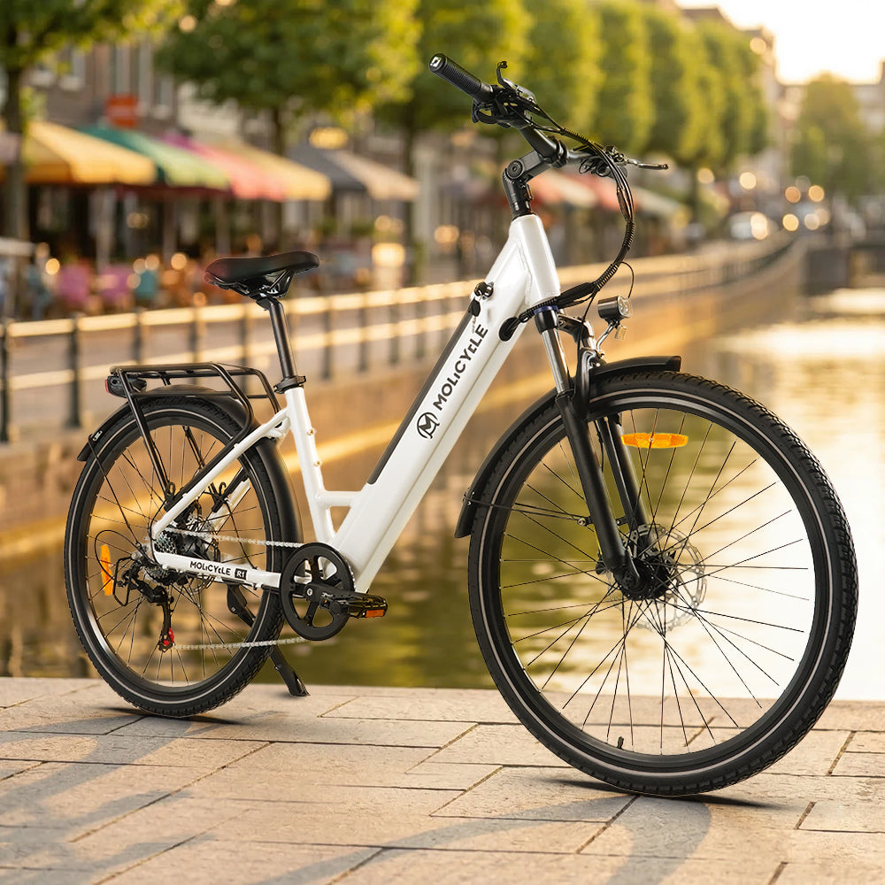 fahrrad kaufen polen Molicycle R1 250W 26" Elektrisches City-Bike 532Wh Damen E-Bike – Buybestgear