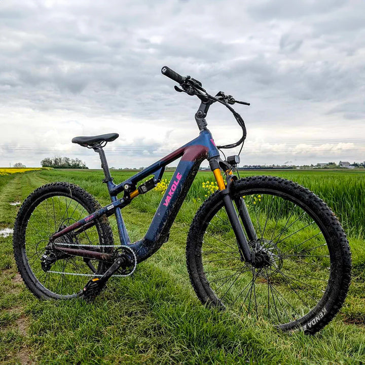 Vakole EMT29 250W 29" VTT Électrique 720Wh VTTAE de Cross-Country avec Capteur de Couple 48V 15Ah Batterie [Pré-commande]