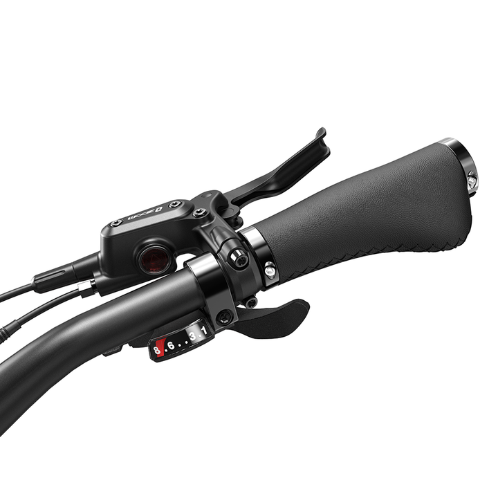 Lankeleisi VORA-7 29" Trekking E-bike (960Wh)