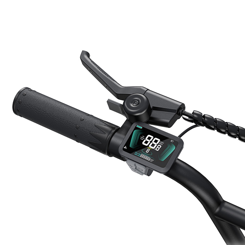 Engwe L20 BOOST 250W 20" Fat Bike 624Wh Step-through E-bike with Torque Sensor 48V 13Ah Battery