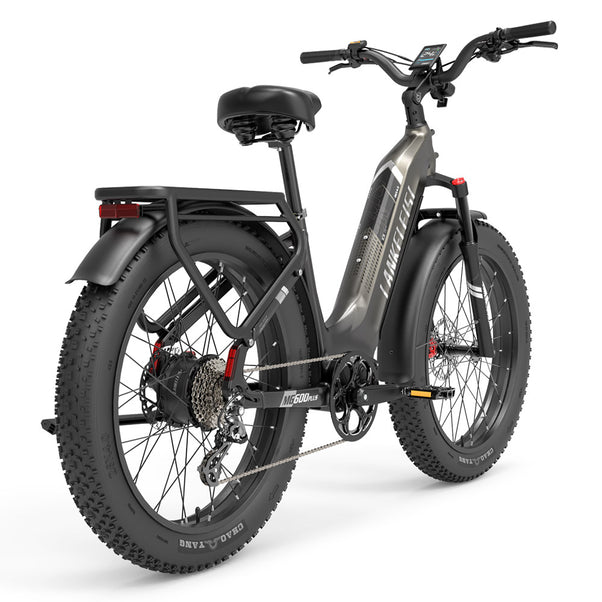 Lankeleisi MG600 Plus Versión 2025 1000W 26