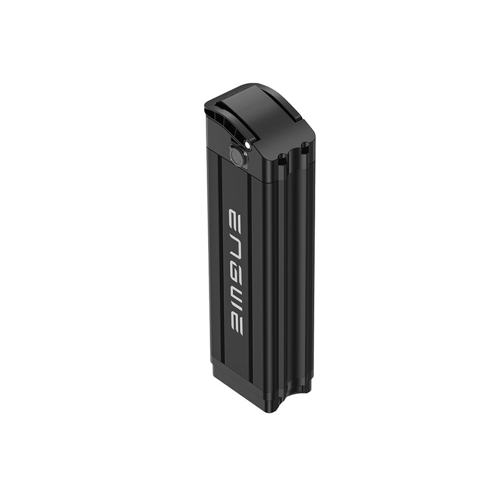 Batteria al litio 36V 15.6Ah per bici elettrica Engwe L20 SE – Buybestgear