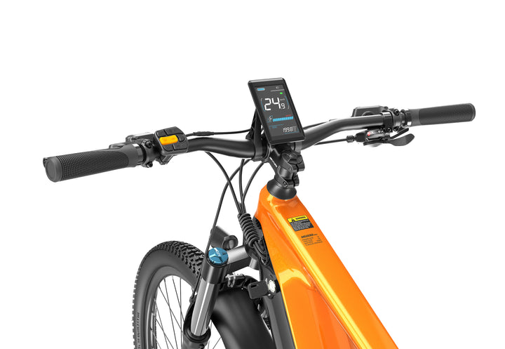 Lankeleisi MG600 Pro 250W 29" Trail E-Mountain Bike 960Wh Full Suspension EMTB con sensore commutabile Batteria 48V 20Ah [Pre-Order]