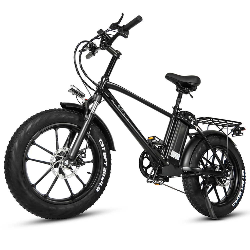 CMACEWHEEL T20 750W 20" Fat Bike Electric Mountain Bike Cargo E-bike 17Ah Battery