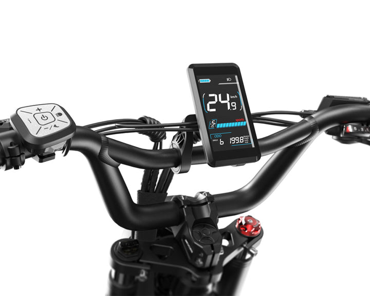 Lankeleisi RX800 Plus 2025 Version 1000W 20" Fat Bike 960Wh Full Suspension Electric Bike with Torque Sensor 48V 20Ah Battery SUV E-Bike