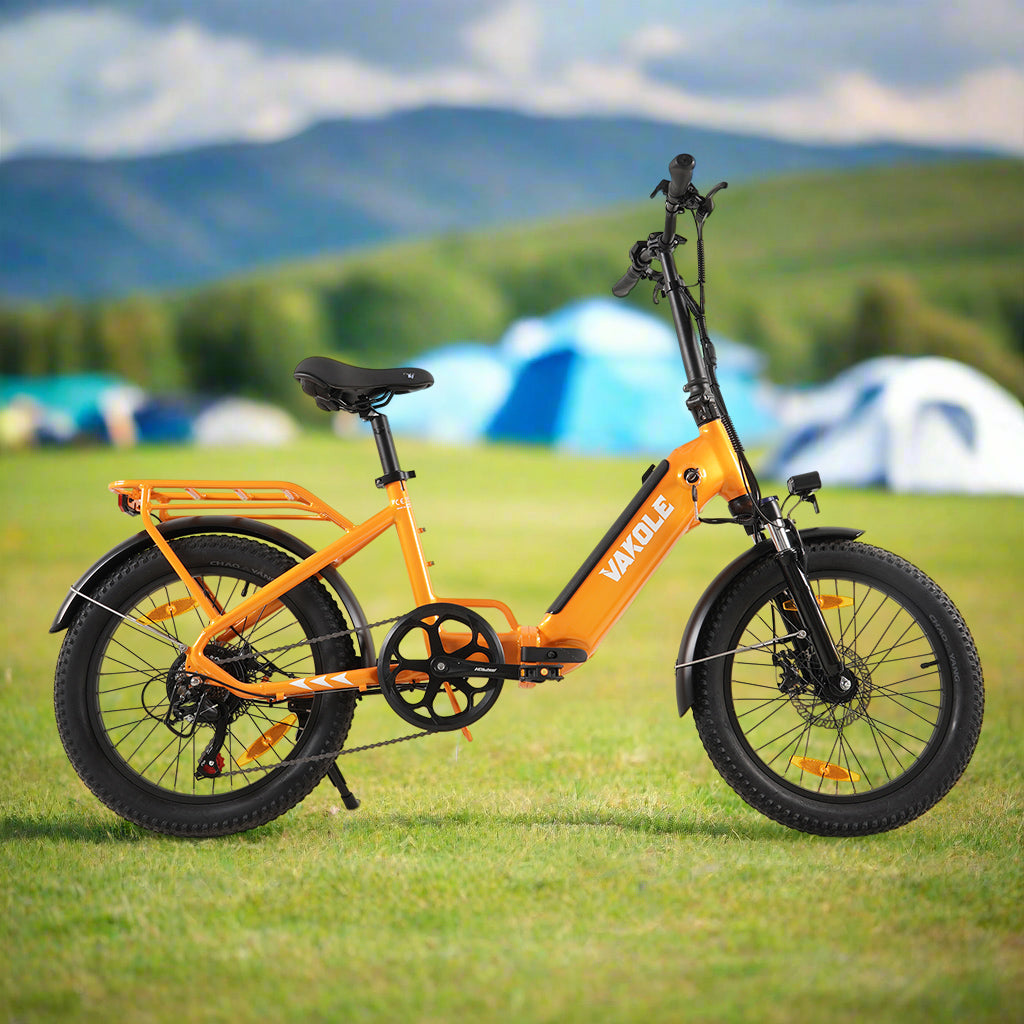 Vakole VT4 250W 20 inch Compact Foldable Step-through E-bike