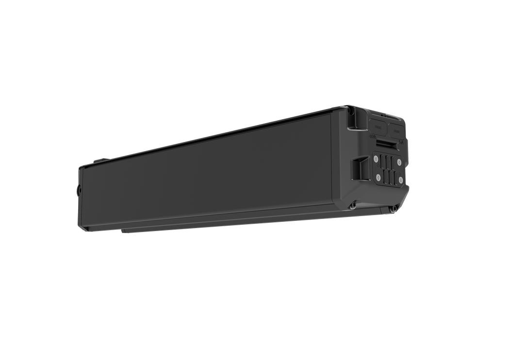 Batterie Lankeleisi MG600 Pro