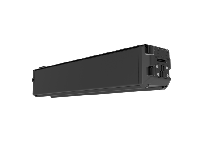Batterie Lankeleisi MG600 Pro