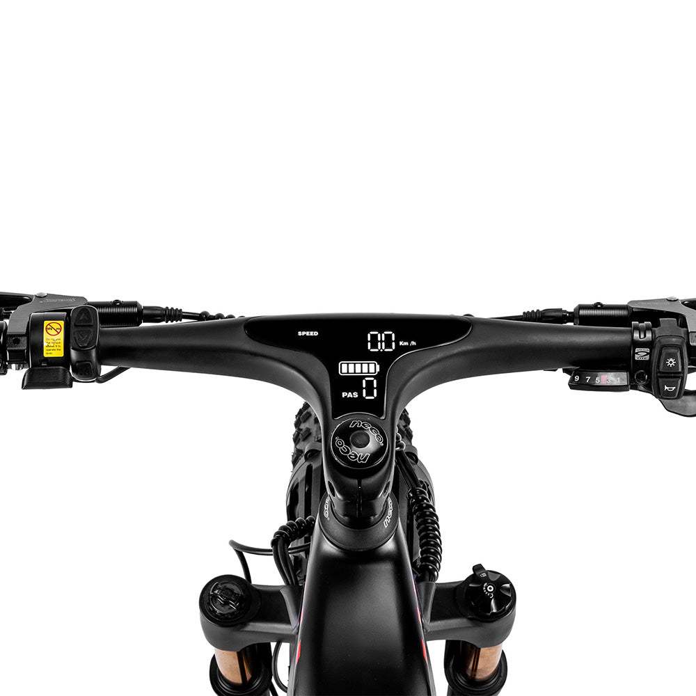 Fafrees F26 CarbonX 1000W 26" Fat Bike Carbon-fiber Electric Bike 22.5Ah Samsung Battery