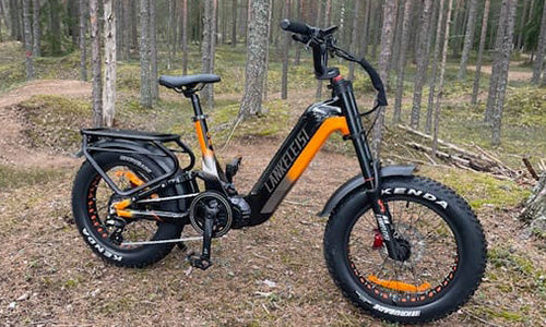 Coswheel Fat Bikes | High Speed & Big Battery | Buybestgear.com