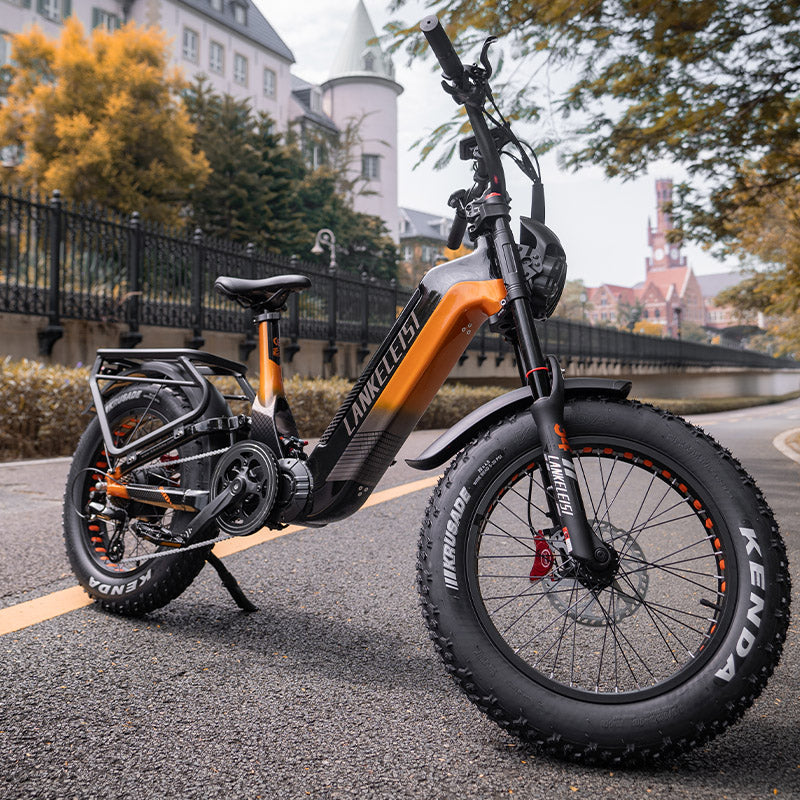 Lankeleisi RX800 Plus 1000W 20" Fat Bike Bici elettrica a sospensione completa 48V 20Ah Batteria Samsung SUV E-Bike