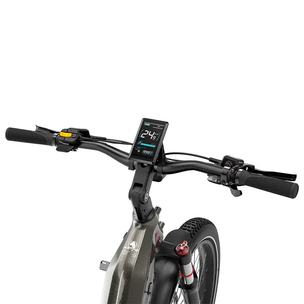 Lankeleisi KETT-8 26" Bicicletta Elettrica Urbana 960Wh Tutto Terreno SUV E-Bike con Sensore di Coppia Batteria 48V 20Ah