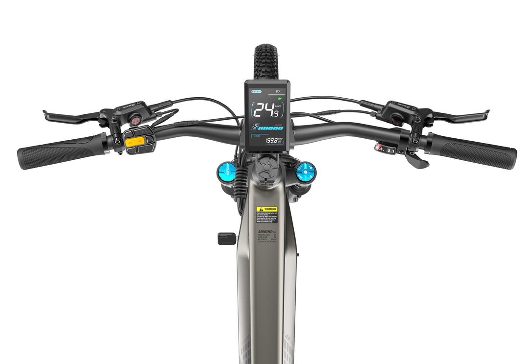 Lankeleisi MG600 Pro 250W 29" Trail E-Mountain Bike 960Wh Full Suspension EMTB con sensore commutabile Batteria 48V 20Ah [Pre-Order]