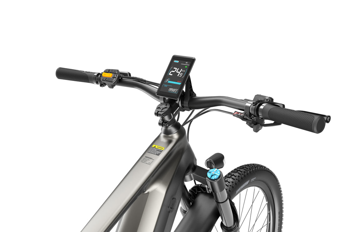 Lankeleisi MG600 Pro 250W 29" Trail E-Mountain Bike 960Wh Full Suspension EMTB con sensore commutabile Batteria 48V 20Ah [Pre-Order]