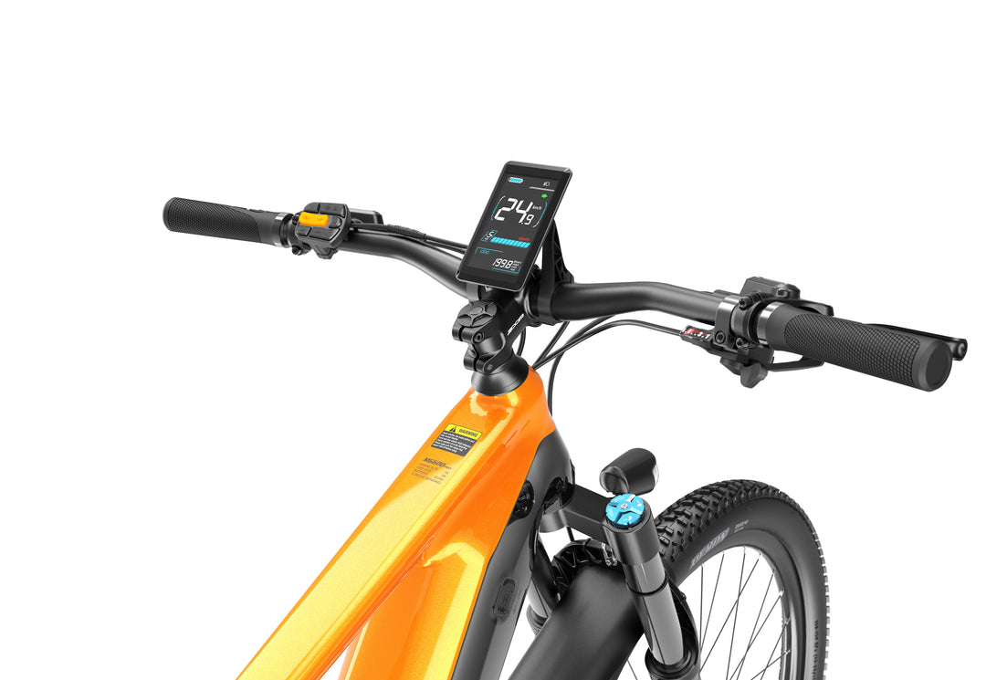 Lankeleisi MG600 Pro 250W 29" Trail E-Mountain Bike 960Wh Full Suspension EMTB con sensore commutabile Batteria 48V 20Ah [Pre-Order]