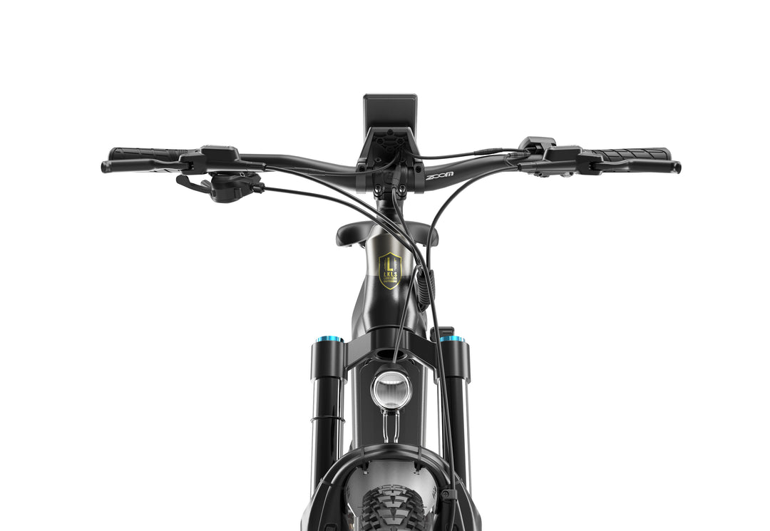 Lankeleisi MG600 Pro 250W 29" Trail E-Mountain Bike 960Wh Full Suspension EMTB con sensore commutabile Batteria 48V 20Ah [Pre-Order]