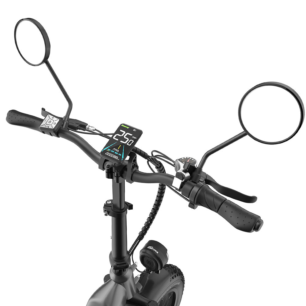 Fafrees FF20 Polar Vélo électrique tout-terrain 20
