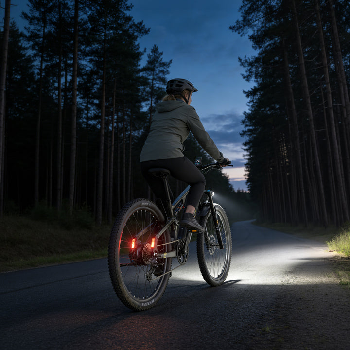 Lankeleisi MG600 Pro 250W VTT électrique de Trail 29" EMTB avec Capteur Commutable Batterie 48V 20Ah 960Wh [Pre-Order]