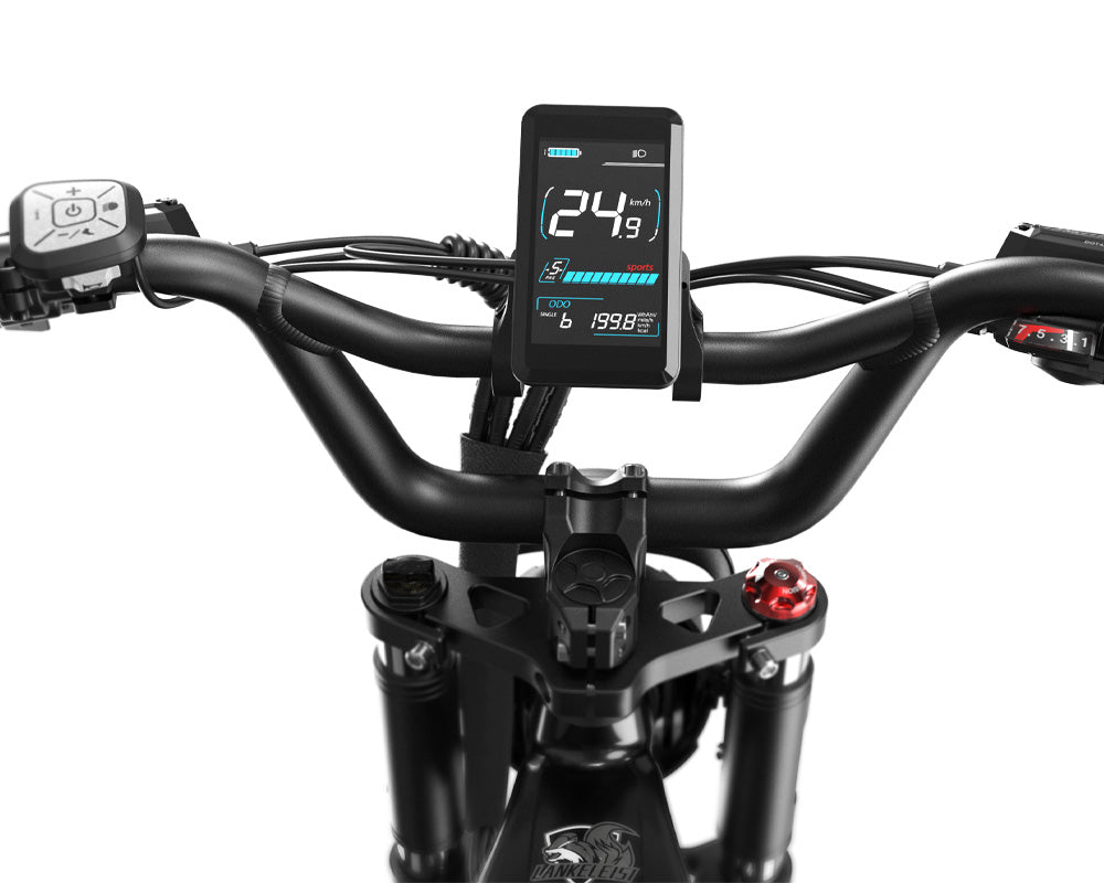 Lankeleisi RX800 Plus 2025 Version 1000W 20" Fat Bike 960Wh Full Suspension Electric Bike with Torque Sensor 48V 20Ah Battery SUV E-Bike