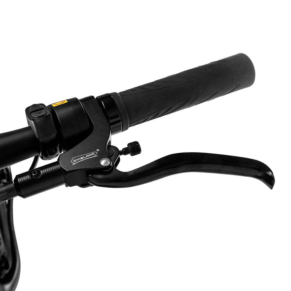 Fafrees F26 CarbonM 1000W 26" Fat Bike Carbon-fiber Electric Bike 22.5Ah Samsung Battery