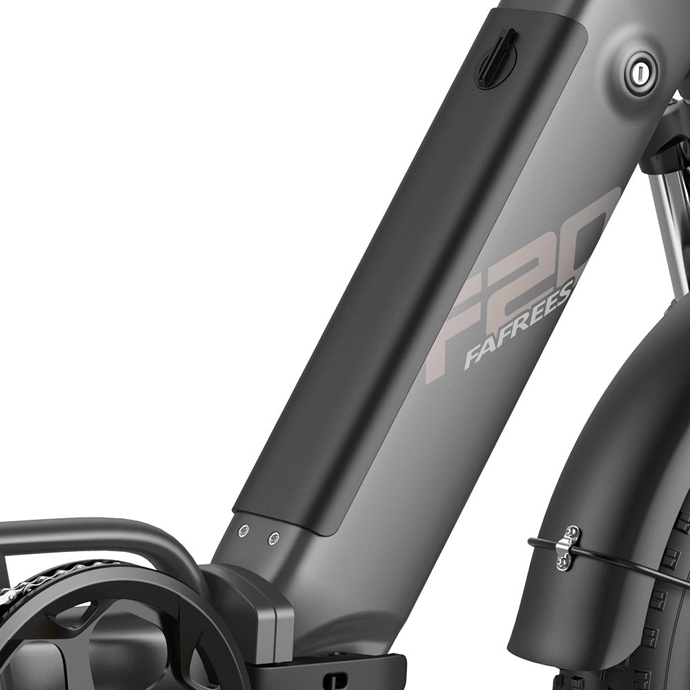 Fafrees FF20 Polar Vélo électrique tout-terrain 20