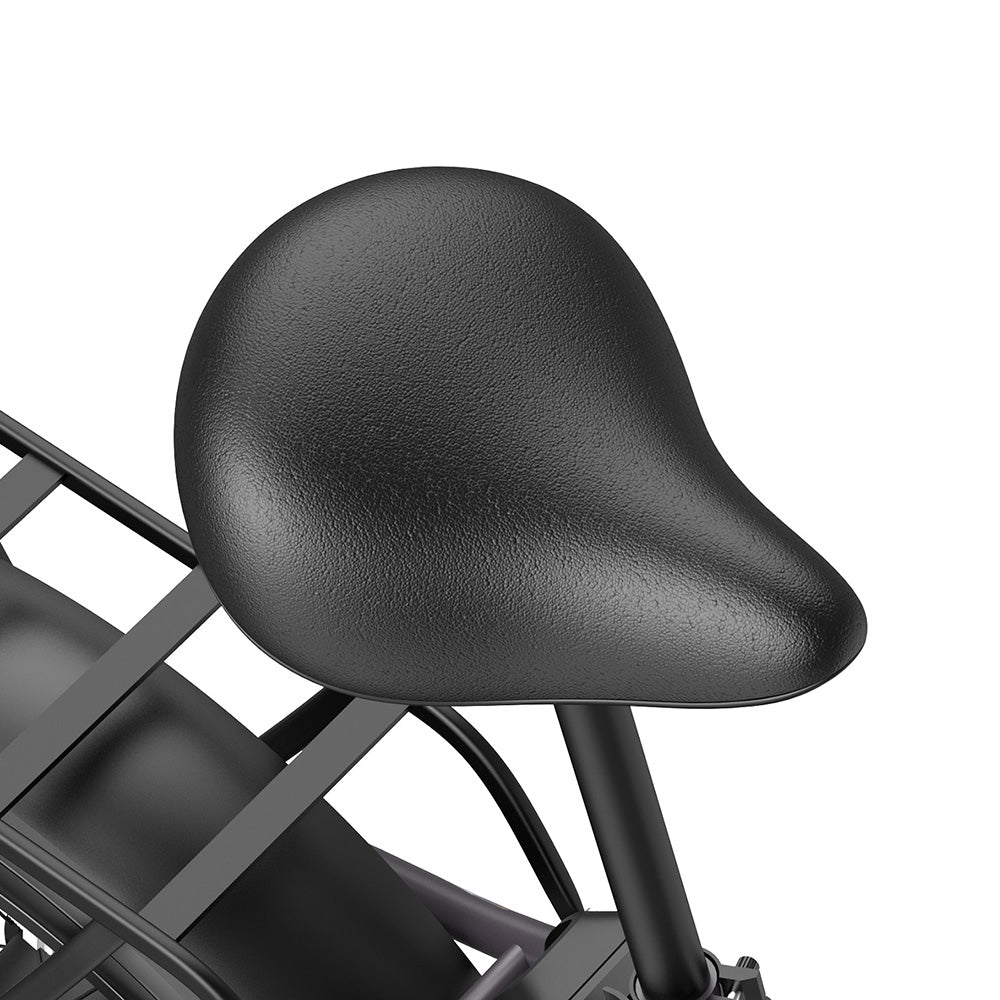 Fafrees FF20 Polar Vélo électrique tout-terrain 20