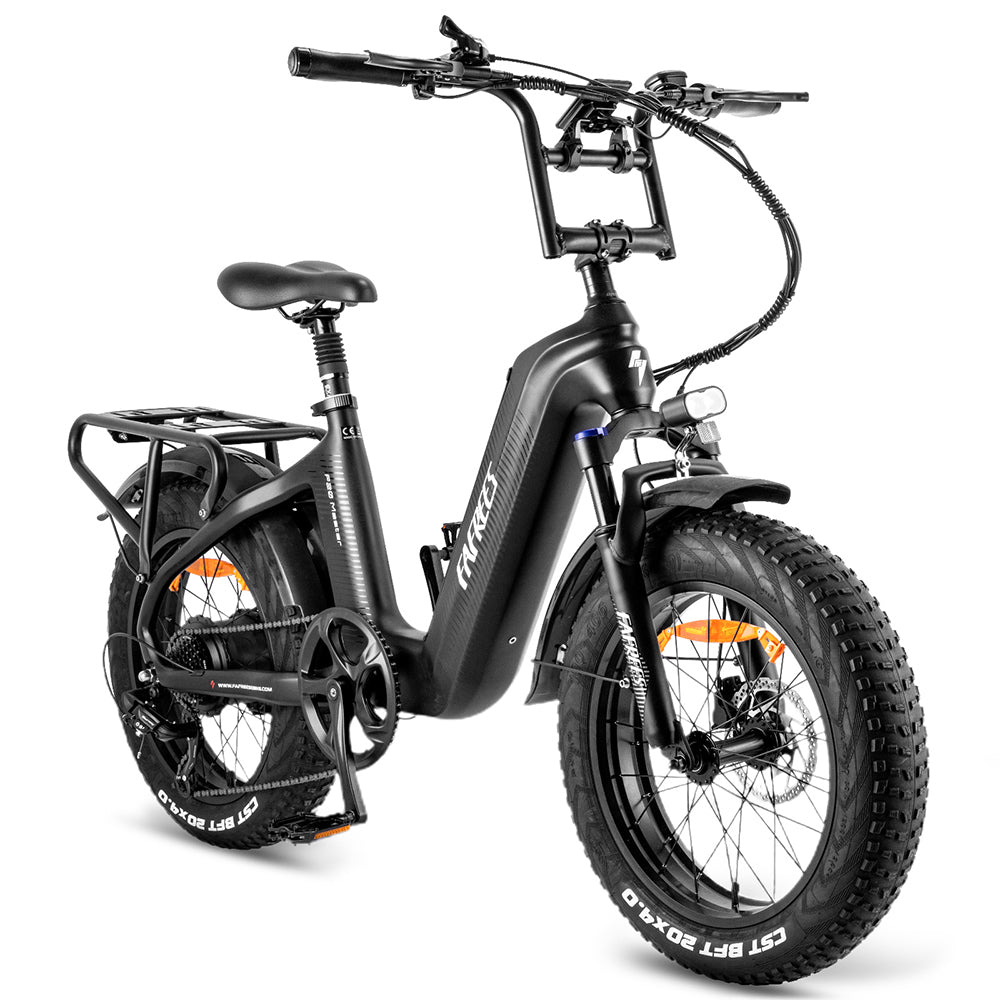 Fafrees F20 Master 500W 20" Fat Bike Bicicletta Elettrica in Fibra di Carbonio 22.5Ah Batteria Samsung