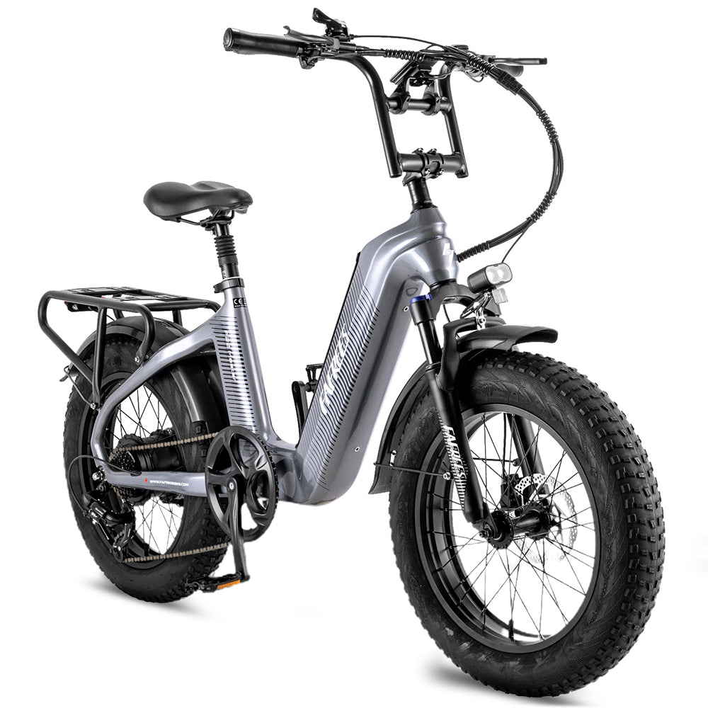 Fafrees F20 Master 500W 20" Fat Bike Bicicletta Elettrica in Fibra di Carbonio 22.5Ah Batteria Samsung