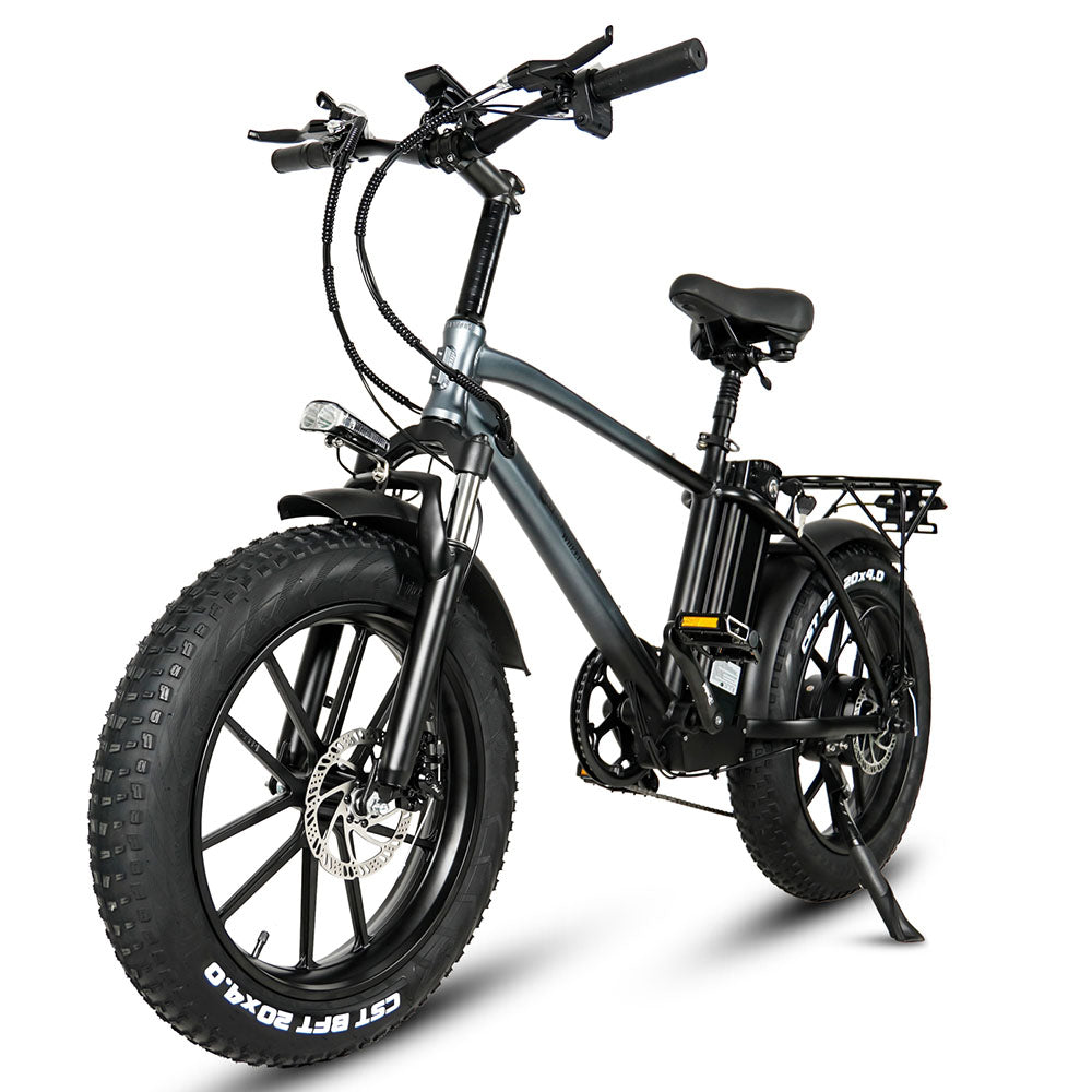 CMACEWHEEL T20 750W 20 "Vetfiets Elektrische mountainbike Cargo E-bike 17Ah batterij