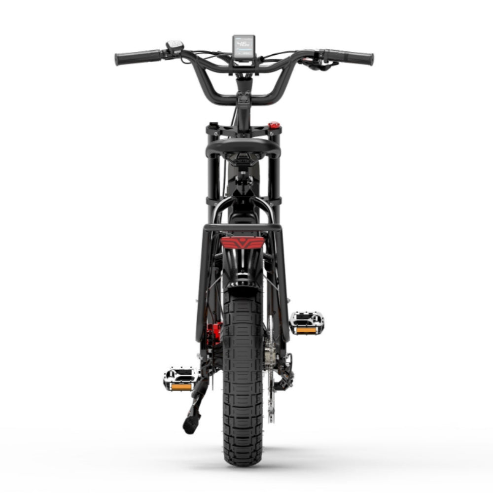 Bezior X500MAX 750W Bafang Motor 20" Fat Bike Cargo E-Bike Dual Batteries 37.5Ah Samsung Battery