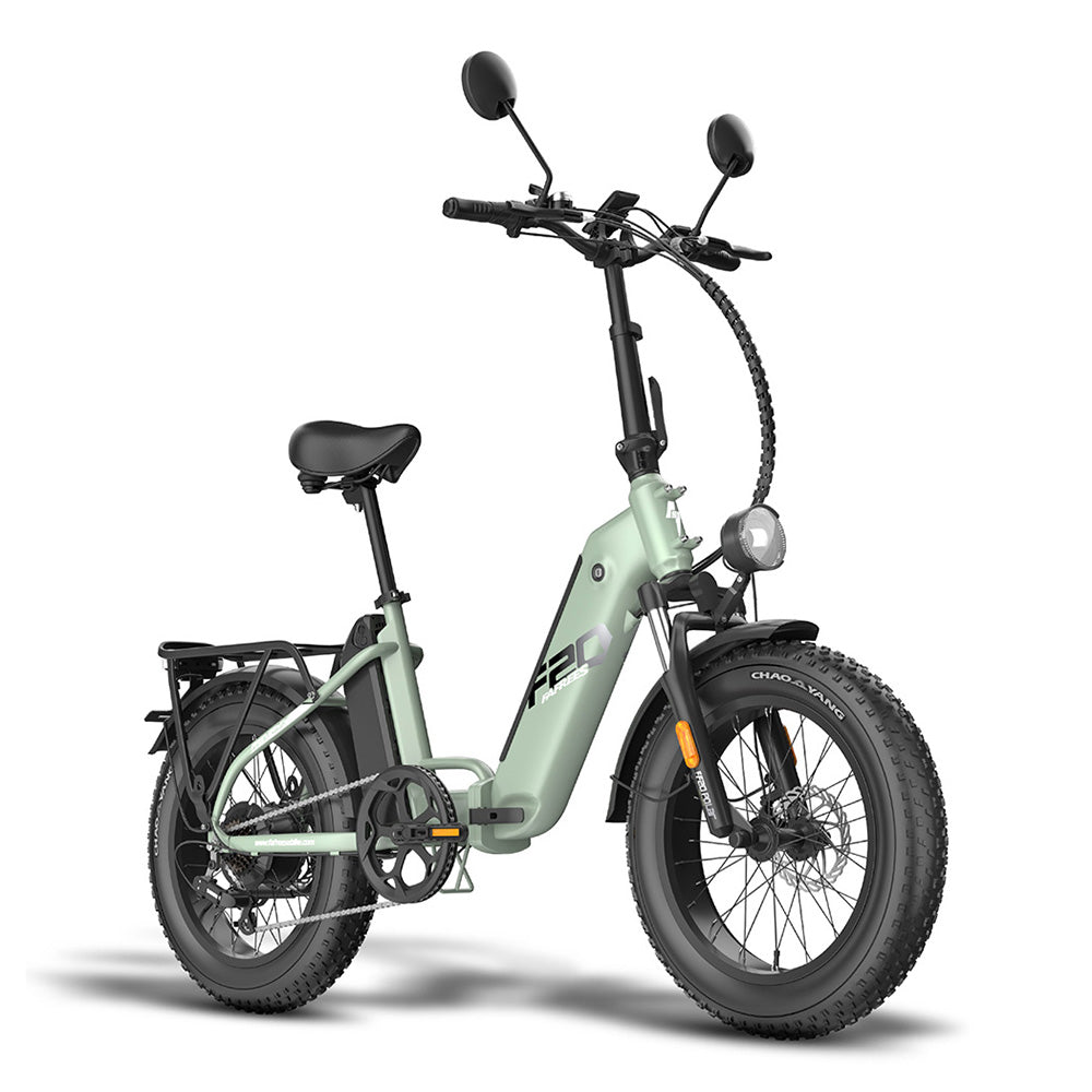 Fafrees FF20 Polar Vélo électrique tout-terrain 20