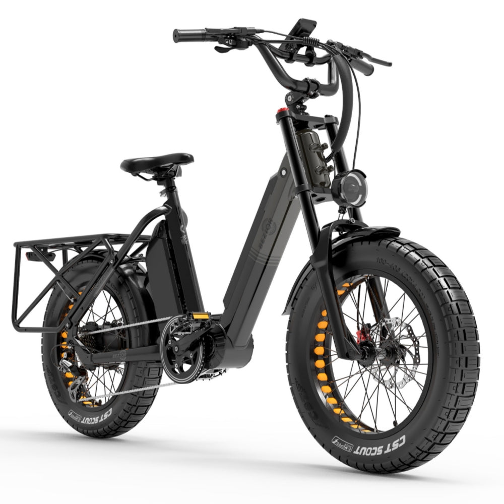 Bezior X500MAX 750W Bafang Motor 20 "Fat Bike Cargo E-Bike Dubbele batterijen 37,5 Ah Samsung batterij