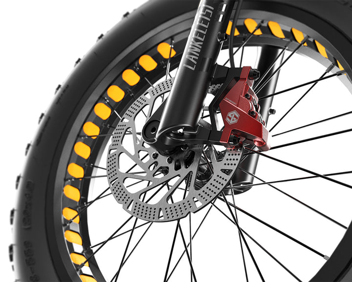 Lankeleisi RX800 Plus 2025 Version 1000W 20" Fat Bike 960Wh Full Suspension Electric Bike with Torque Sensor 48V 20Ah Battery SUV E-Bike