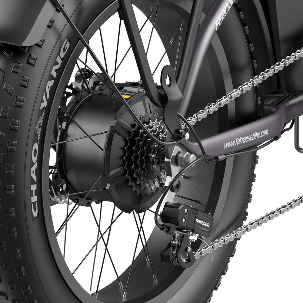 Fafrees FF20 Polar Vélo électrique tout-terrain 20